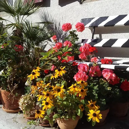 Flowerpot Appartement *