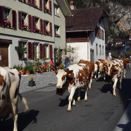 Flowerpot * Unterseen