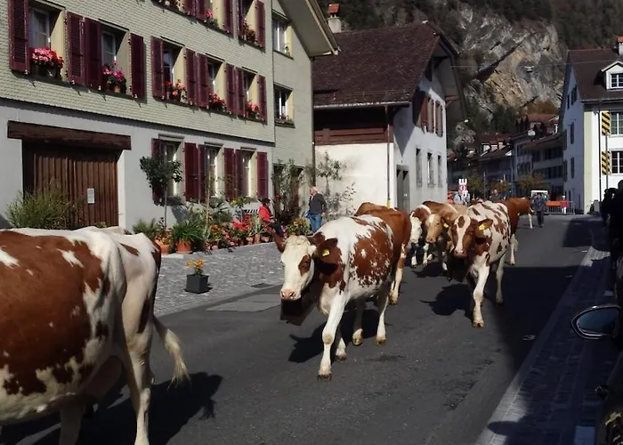 Flowerpot * Unterseen