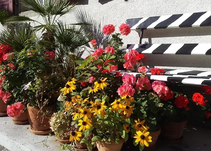 Flowerpot Apartment *